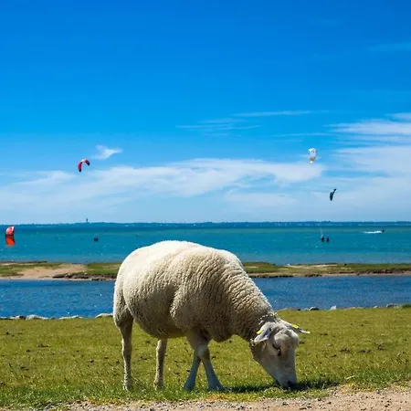 Apartment Ferienwohnung Hase Und Igel Petersdorf auf Fehmarn